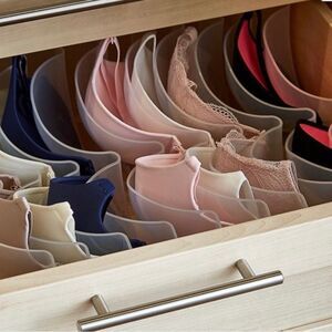 Boobie Trap Bra organizer